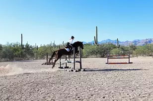 13670 E Camino La Cebadilla, Tucson, AZ 85749 - Photo 40