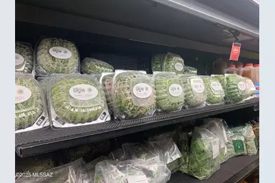 11640 S Lava Peak Road, Vail, AZ 85641 - Photo 6