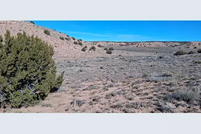 3.02 Acres Unnamed Road #457, Sanders, AZ 86512 - Photo 12