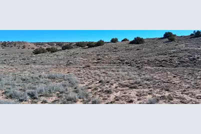 3.02 Acres Unnamed Road #457, Sanders, AZ 86512 - Photo 6