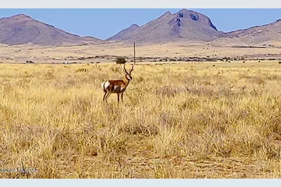 2440 Arizona State Highway 83, Sonoita, AZ 85637 - Photo 6