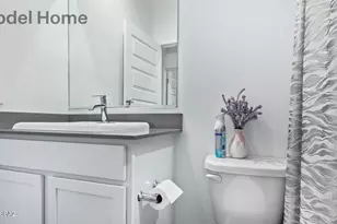 461 W Camino del Toro, Vail, AZ 85641 - Photo 18