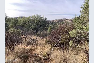 Old Duquesne Road #2, Patagonia, AZ 85624 - Photo 6