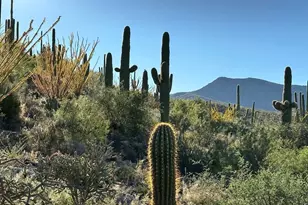 8491 S Pistol Hill Rd, Vail, AZ 85641 - Photo 1