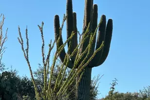 8491 S Pistol Hill Rd, Vail, AZ 85641 - Photo 46