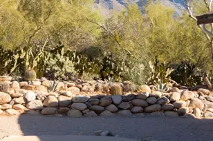 6401 N Camino Abbey, Tucson, AZ 85718 - Photo 44