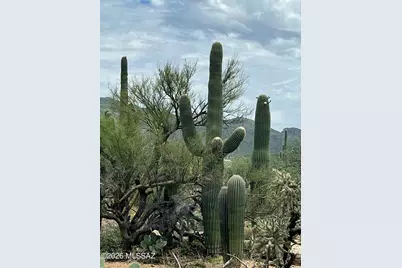4875 N Windsong Canyon Drive #49, Tucson, AZ 85749 - Photo 16