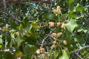 1144 W Edwards Ln, Benson, AZ 85602 - Photo 26