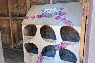 2848 S Desert Rose Dr, Tucson, AZ 85735 - Photo 44