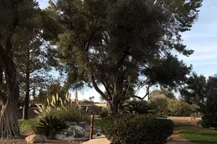 445 S Paseo Quinta, Green Valley, AZ 85614 - Photo 30