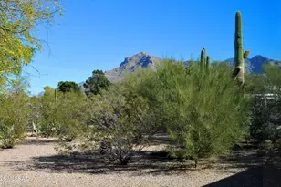 1201 W Chapala Dr, Tucson, AZ 85704 - Photo 42