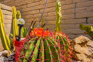 920 W Camino Sagasta, Green Valley, AZ 85622 - Photo 50