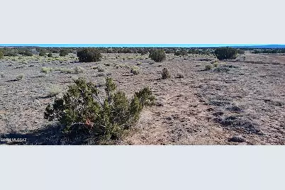 38 Acres 24 County Rd N6578 #857, Saint Johns, AZ 85936 - Photo 18