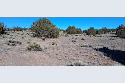 38 Acres 24 County Rd N6578 #857, Saint Johns, AZ 85936 - Photo 14