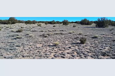 38 Acres 24 County Rd N6578 #857, Saint Johns, AZ 85936 - Photo 12