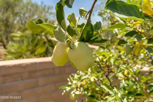 779 N Lukeville Dr, Green Valley, AZ 85614 - Photo 48