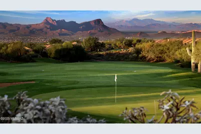 13136 N Desert Flora Lane, Marana, AZ 85658 - Photo 36