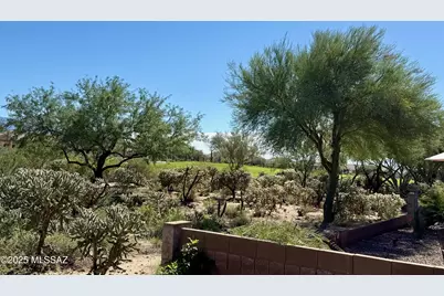 13136 N Desert Flora Lane, Marana, AZ 85658 - Photo 20