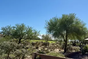 13136 N Desert Flora Ln, Marana, AZ 85658 - Photo 20