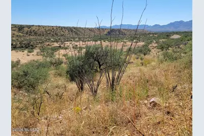 365 Camino Armadillo #164, Rio Rico, AZ 85648 - Photo 2