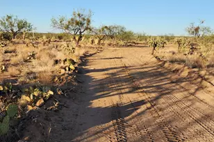 15035 S Muldoon Ave, Tucson, AZ 85736 - Photo 14
