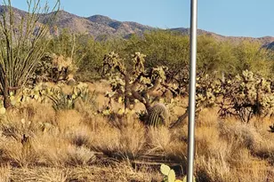 15035 S Muldoon Ave, Tucson, AZ 85736 - Photo 12