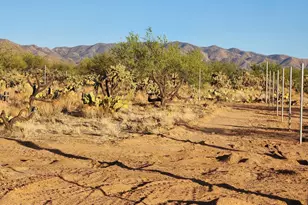 15035 S Muldoon Ave, Tucson, AZ 85736 - Photo 20