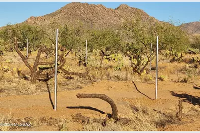 15035 S Muldoon Avenue #115, Tucson, AZ 85736 - Photo 24