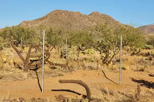 15035 S Muldoon Ave, Tucson, AZ 85736 - Photo 24