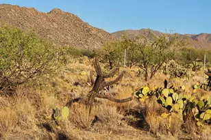 15035 S Muldoon Ave, Tucson, AZ 85736 - Photo 18