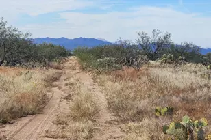 15035 S Muldoon Ave, Tucson, AZ 85736 - Photo 4