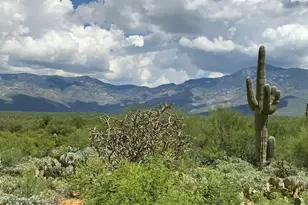 7460 S Rolling Tumbleweed Rd, Vail, AZ 85641 - Photo 44