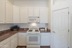 13575 N Holly Grape Dr, Marana, AZ 85658 - Photo 12