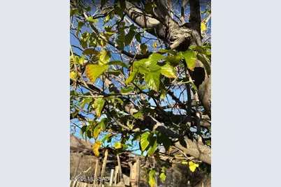 3644 W Vista Del Viejo, Bisbee, AZ 85603 - Photo 30