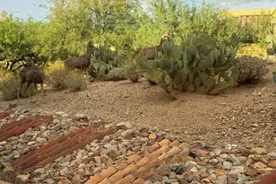 1995 S Via Ventana A La Montana, Green Valley, AZ 85622 - Photo 14