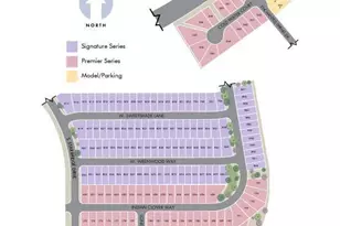 6894 W Sweetshade Ln, Tucson, AZ 85757 - Photo 10