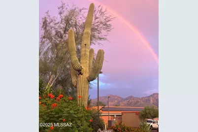 37547 S Canyon Side Drive, Saddlebrooke, AZ 85739 - Photo 48