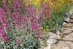 2262 N Woods Pl, Tucson, AZ 85749 - Photo 38