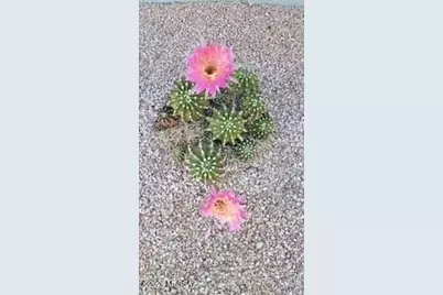 2262 N Woods Place, Tucson, AZ 85749 - Photo 36