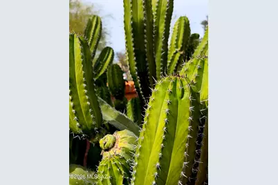 8449 N Via Tioga, Tucson, AZ 85704 - Photo 32