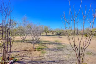 6421 N Bernice Pl, Tucson, AZ 85743 - Photo 30