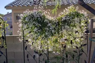 457 E Camino Limon Verde, Sahuarita, AZ 85629 - Photo 26