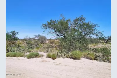 13521 S Bruckner Avenue #417, Tucson, AZ 85736 - Photo 1