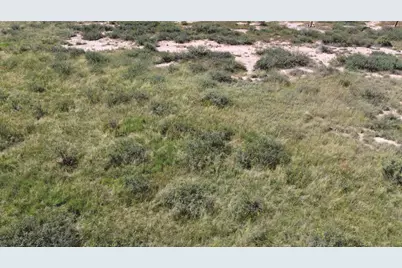 36.97 Acre W Latimer Road #4, Elfrida, AZ 85610 - Photo 6