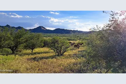 Tbd E Walker Ranch Road, Dragoon, AZ 85609 - Photo 14