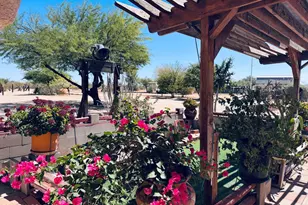 30239 E Little Crow Rd, Marana, AZ 85658 - Photo 40
