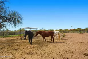 3121 N Conestoga Ave, Tucson, AZ 85749 - Photo 2