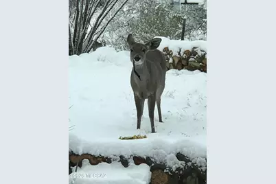 17930 S Camino Rancho Del Valle, Vail, AZ 85641 - Photo 48