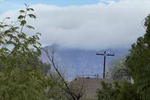 929 S 4th Ave, Tucson, AZ 85701 - Photo 6