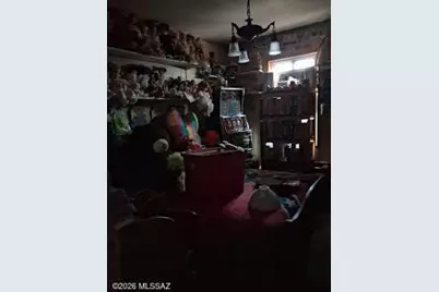 3336 N Rucker Canyon Road, Elfrida, AZ 85610 - Photo 4